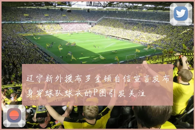 辽宁新外援布罗金顿自信宣言发布身穿球队球衣的P图引发关注
